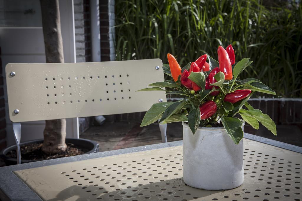 Savina City Centre Apartment Near Beach, Station And Shops ザントフォールト 部屋 写真